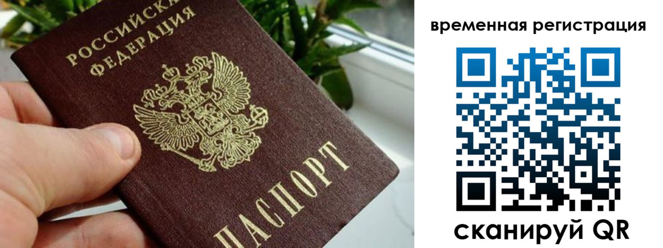 прописка поиск в Данилове